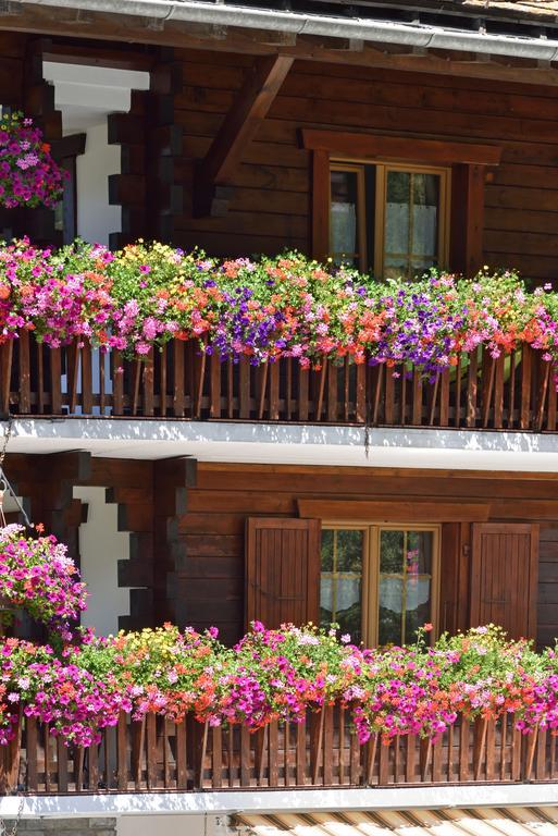 Hotel Les Melezes Haudères Εξωτερικό φωτογραφία